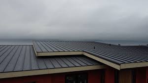 Best Rubber Roofing (EPDM, TPO)  in Fort Lee, VA